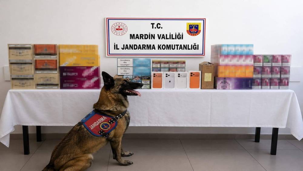 Mardin&rsquo;de ka&ccedil;ak t&uuml;t&uuml;n operasyonunda 2 g&ouml;zaltı
