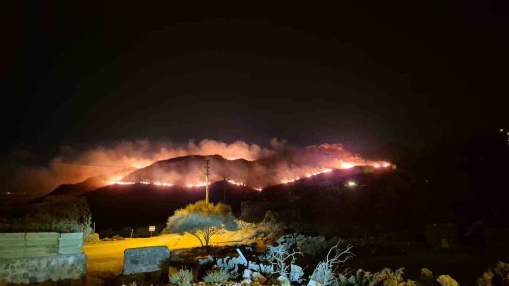 Bodrum&rsquo;da makilik alanda yangın: "Alevler r&uuml;zgarla hızla yayıldı"
