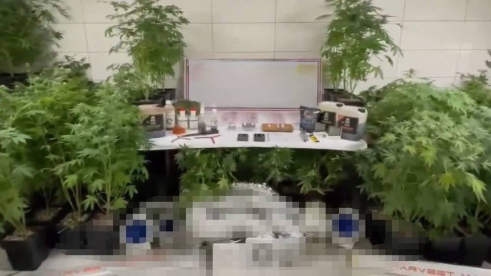 Jandarmadan uyuşturucu operasyonu: Evde &uuml;retim d&uuml;zeneği kurmuş
