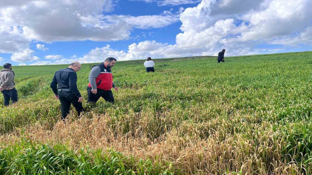 Batman&rsquo;da &ccedil;ift&ccedil;ilere &rsquo;yanlış ila&ccedil;lama&rsquo; uyarısı
