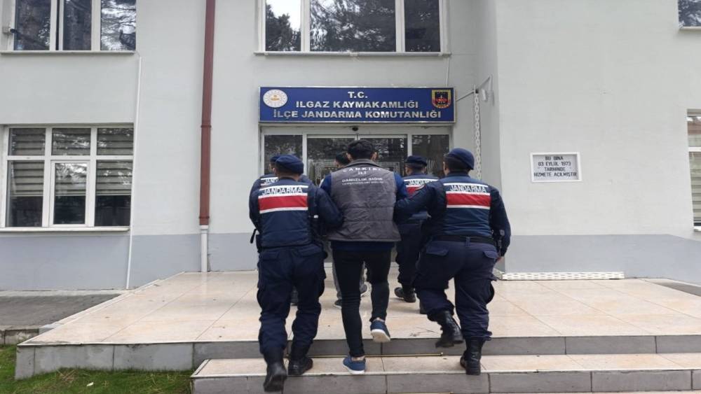 &Ccedil;ankırı&rsquo;da b&uuml;y&uuml;kbaş hayvan &ccedil;alan şahıslar tutuklandı
