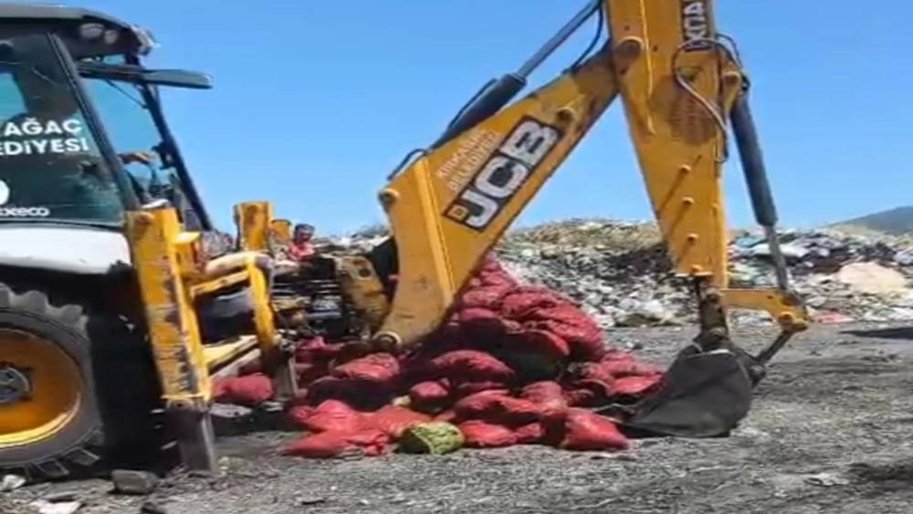 Manisa&rsquo;da menşei belirsiz midyeler imha edildi
