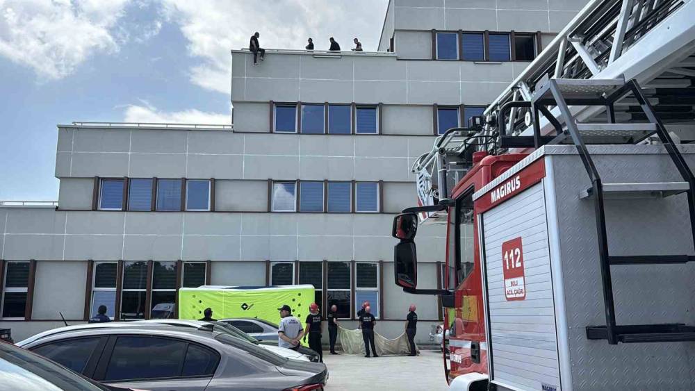 Bolu&rsquo;da 2 milyon liralık salep cezasına isyan edip &ccedil;atıya &ccedil;ıktı
