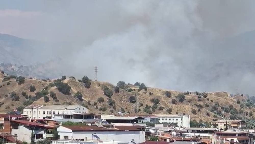 Nazilli&rsquo;de zirai alan yangını

