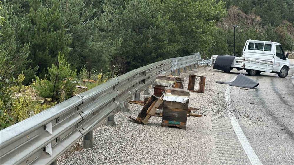 Kastamonu&rsquo;da kamyonet bariyerlere &ccedil;arptı: Etrafa sa&ccedil;ılan kovandaki arılar telef oldu

