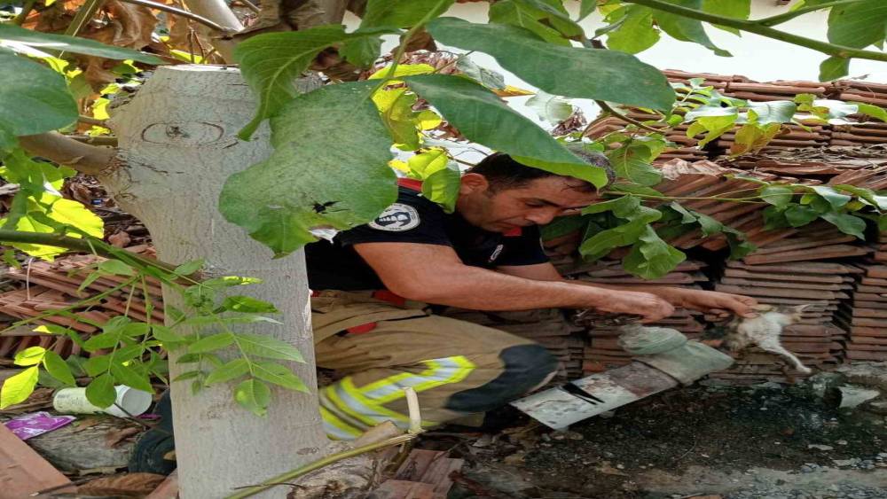 Vanaya sıkışarak mahsur kalan yavru kedi, itfaiye ekiplerinin &ccedil;alışmasıyla kurtarıldı
