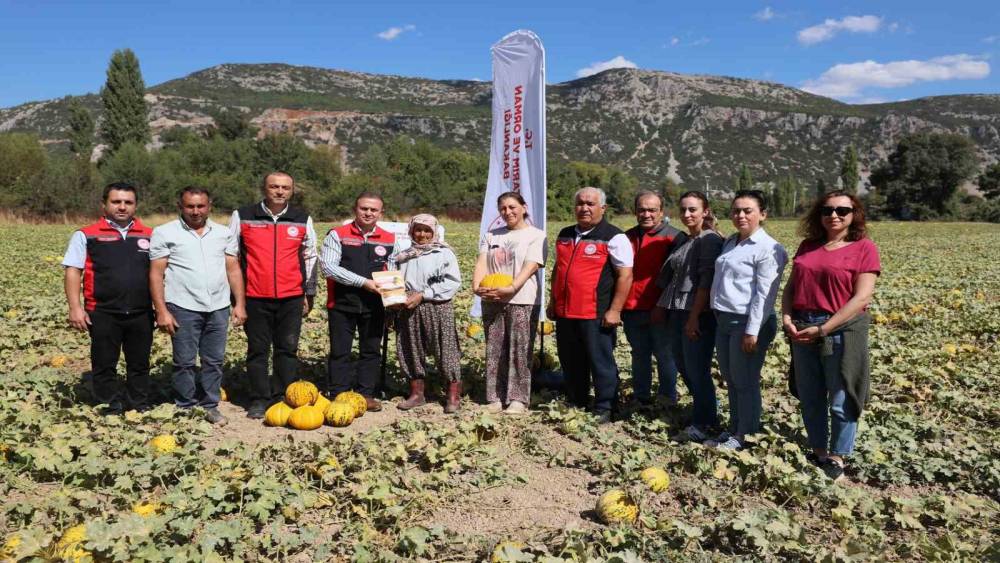 Menteşe Karabağlar yaylasında asırlık lezzetin hasat zamanı
