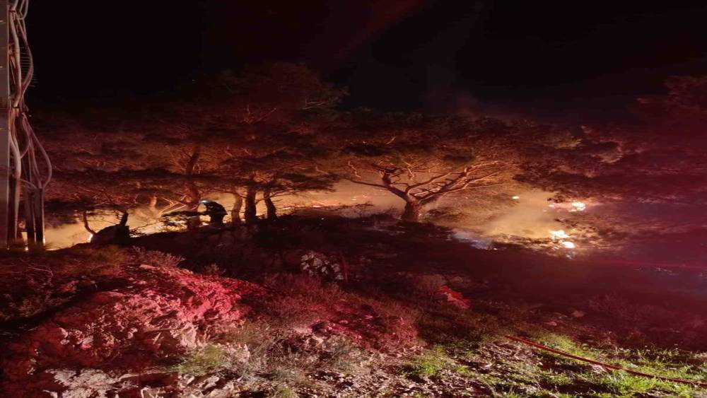 Bodrum&rsquo;da ormanlık alanda yangın: 2 d&ouml;n&uuml;m alan zarar g&ouml;rd&uuml;
