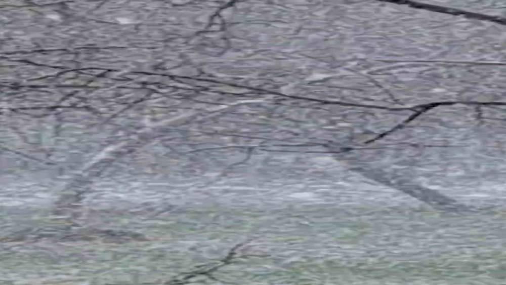 Mudurnu&rsquo;da lapa lapa kar yağışı etkili oldu
