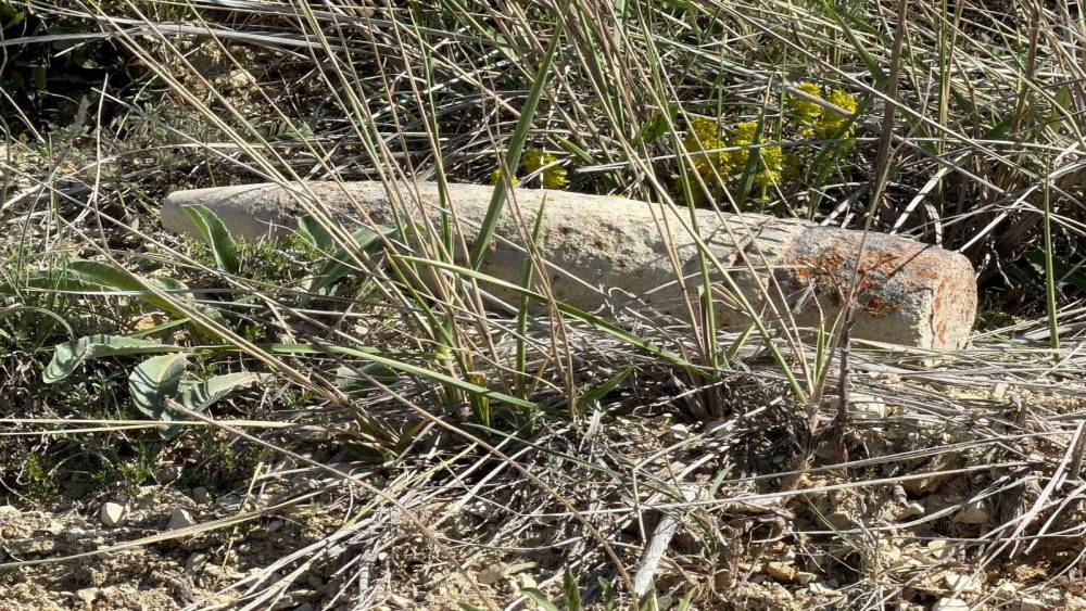 Ankara&rsquo;da vatandaş mantar ararken patlamamış top mermisi buldu
