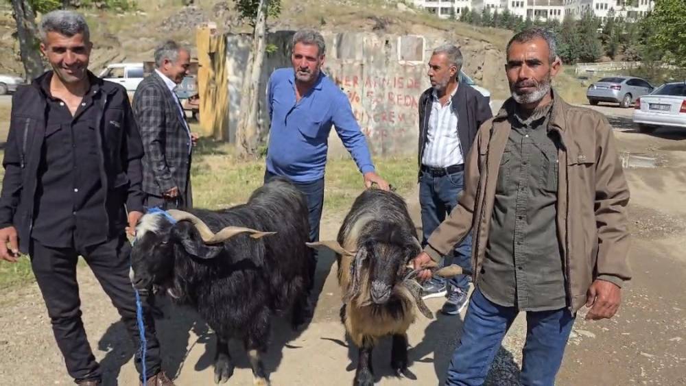 Bayram &ouml;ncesi hayvan pazarına ilgi arttı
