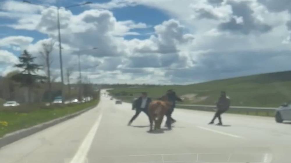 Erzurum&rsquo;da bir kurban klasiği: Ka&ccedil;an kurbanlıklar trafiği birbirine kattı
