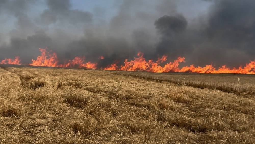 Tekirdağ&rsquo;da 400 d&ouml;n&uuml;m buğday ekili alan yandı
