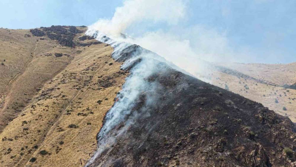 Elazığ&rsquo;da dağlık alanda &ccedil;ıkan yangında 1 ş&uuml;pheli g&ouml;zaltına alındı
