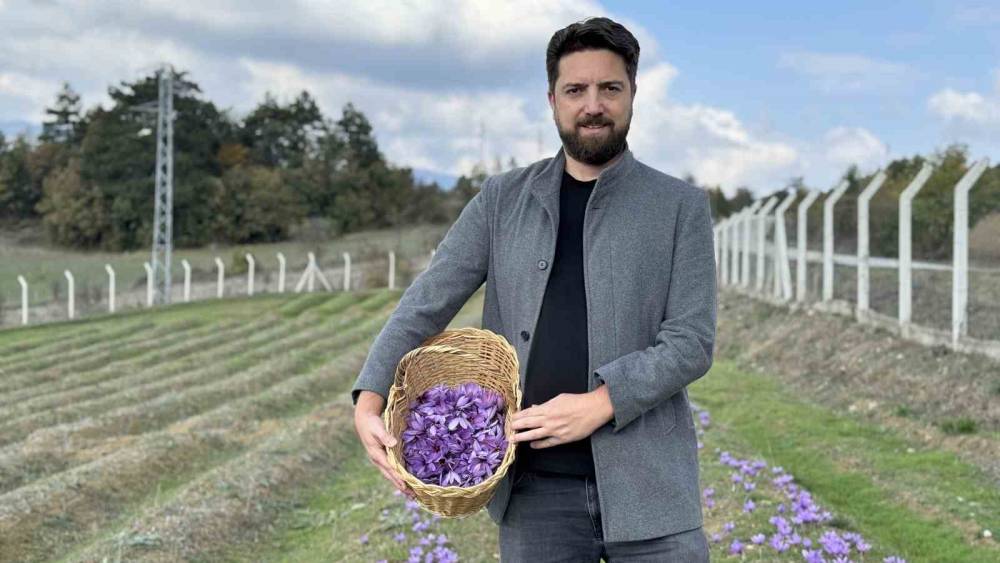 İtalya&rsquo;da analiz ettirdiği safranıyla yurt dışından da talep g&ouml;r&uuml;yor
