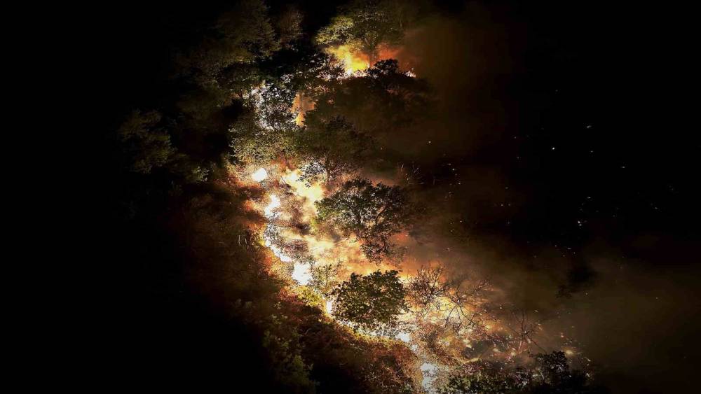 Beykoz&rsquo;daki orman yangını 9 saatte kontrol alındı
