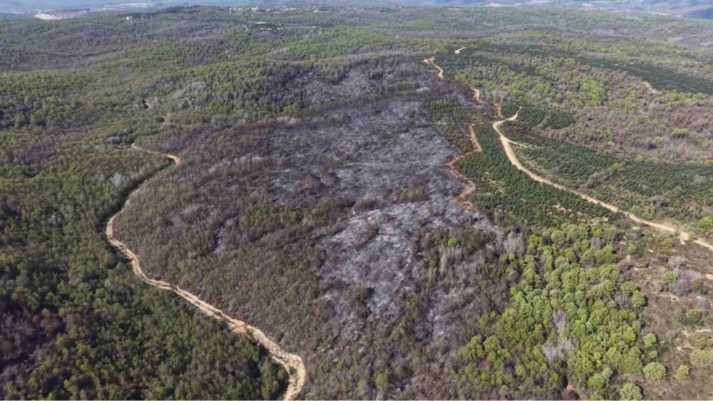 Beykoz&rsquo;daki yangının bilan&ccedil;osu g&uuml;n ağarınca ortaya &ccedil;ıktı
