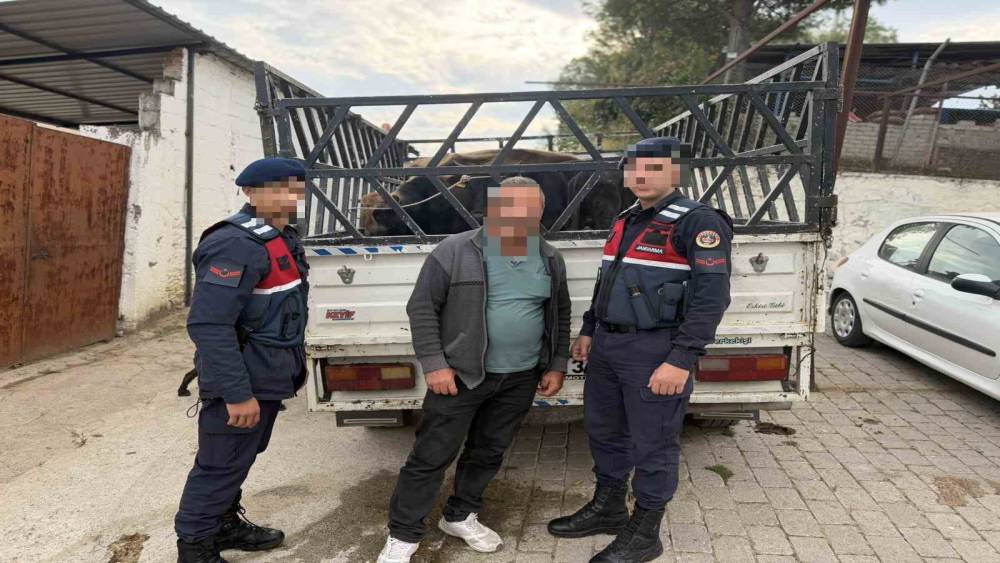 Ko&ccedil;arlı&rsquo;da &ccedil;aldığı b&uuml;y&uuml;kbaş hayvanları satan ş&uuml;pheli tutuklandı
