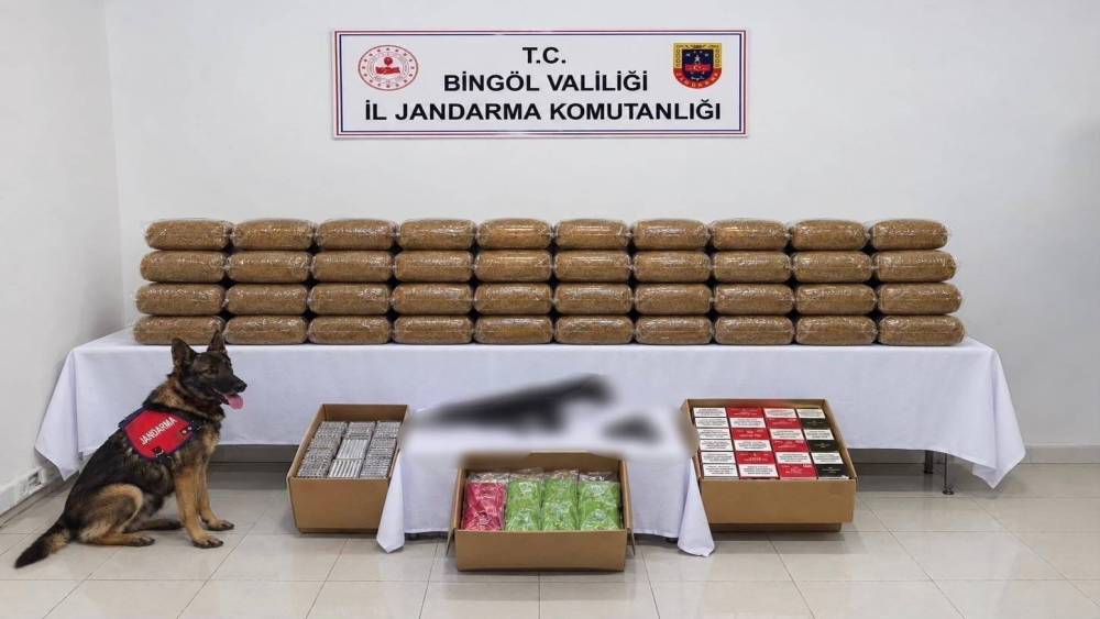 Bing&ouml;l&rsquo;de kesinleşmiş hapis cezası bulunan 4 ş&uuml;pheli yakalandı
