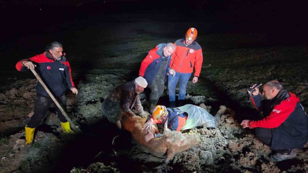 Yalova&rsquo;da bataklıkta mahsur kalan vatandaş ve b&uuml;y&uuml;kbaş hayvanı kurtarıldı
