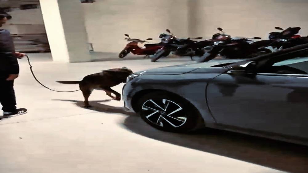 &Ccedil;anakkale&rsquo;de farklı su&ccedil;lardan aranması bulunan 97 kişi yakalandı
