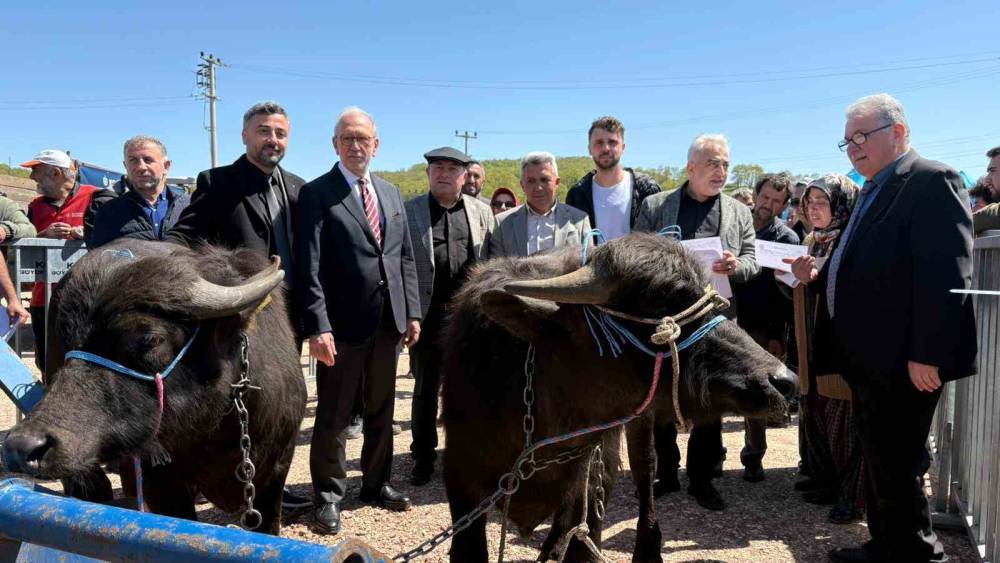 Kocaeli&rsquo;deki manda yetiştiricilerine 3,4 milyon liralık destek
