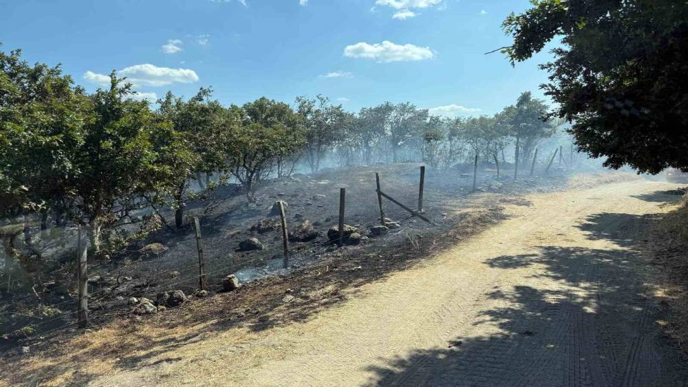 &Ccedil;anakkale&rsquo;de tarım arazisinde &ccedil;ıkan yangın kontrol altına alındı
