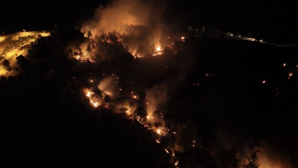 Adıyaman&rsquo;daki orman yangınıyla ilgili bir şahıs tutuklandı
