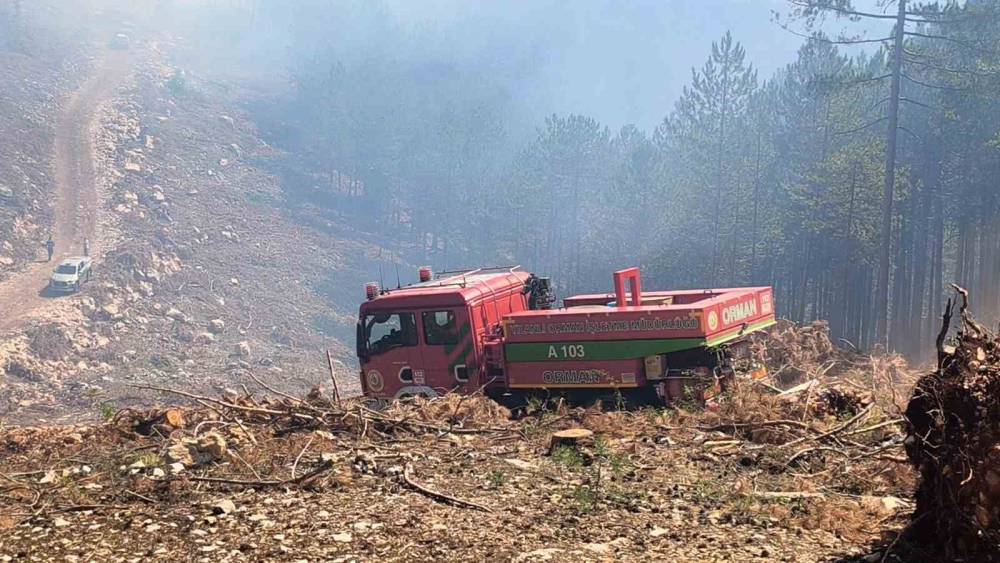 Menteşe Yılanlı yangını kontrol altına alındı

