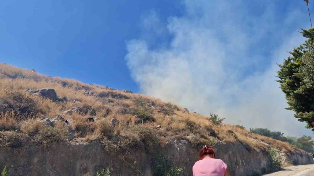 Bodrum&rsquo;da makilik yangını
