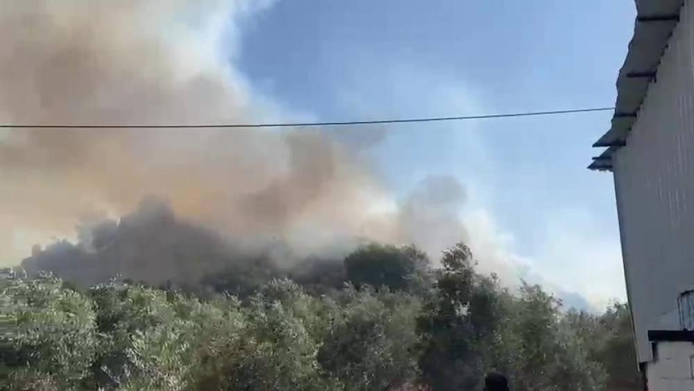 Aksu&rsquo;da ormanlık ve zeytinlik alanda yangın
