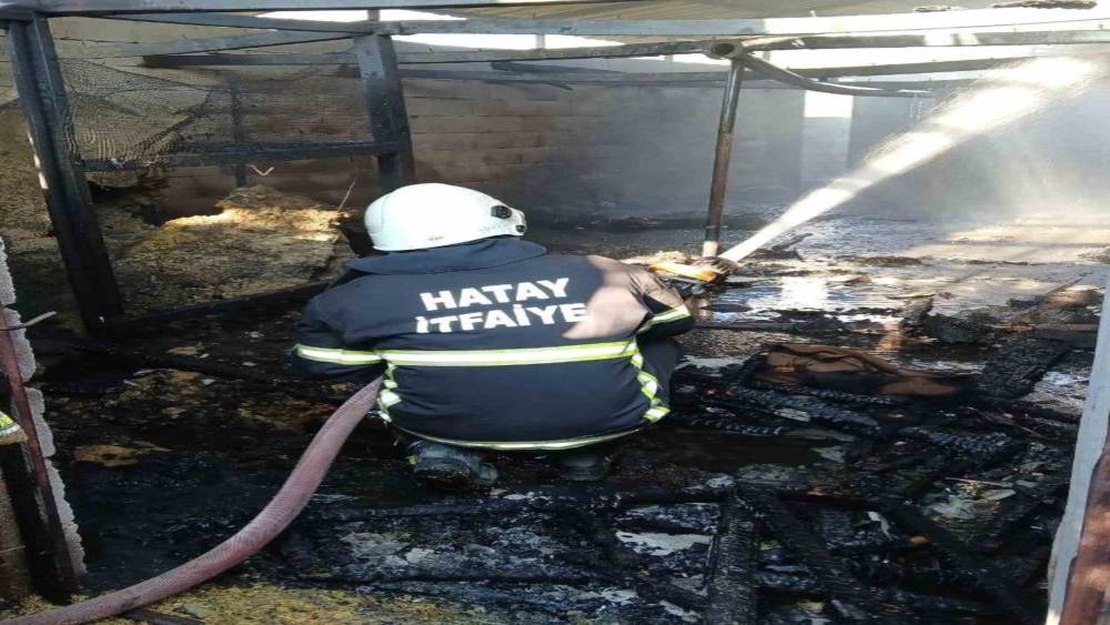 Hassa&rsquo;da ev ve ahır yandı
