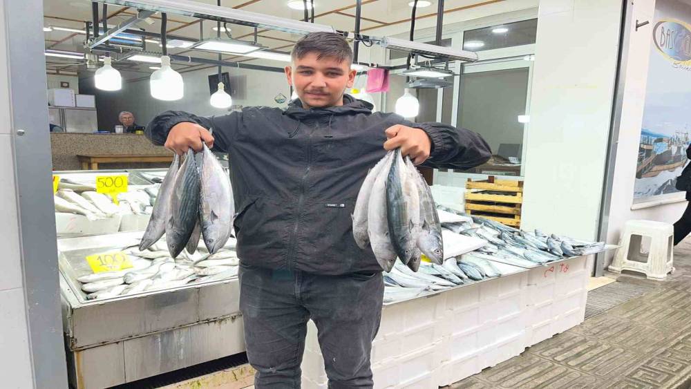 Sinop&rsquo;ta palamut 50 lira
