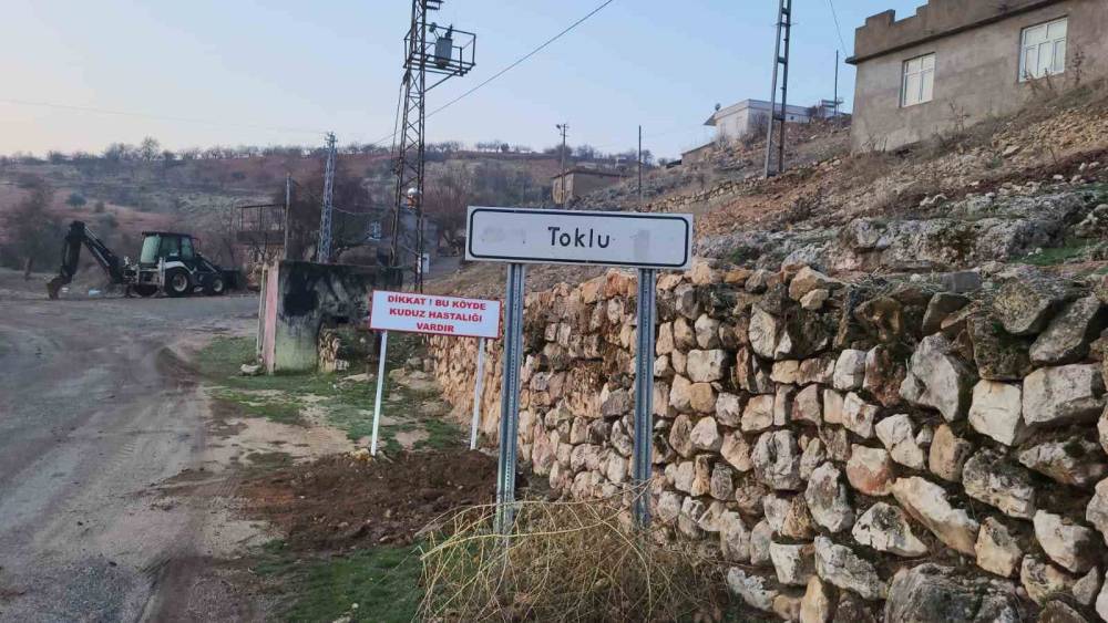 Adıyaman’da çocuğa saldıran köpek kuduz çıktı, köy karantinaya alındı
