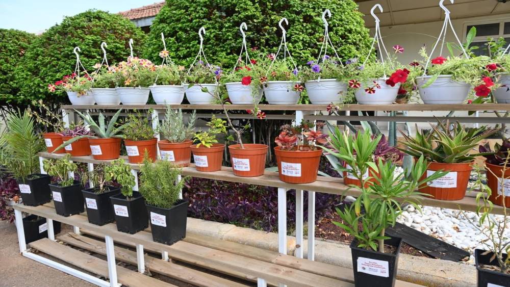 Kepez Bah&ccedil;e Market Antalya&rsquo;nın hizmetine a&ccedil;ılıyor
