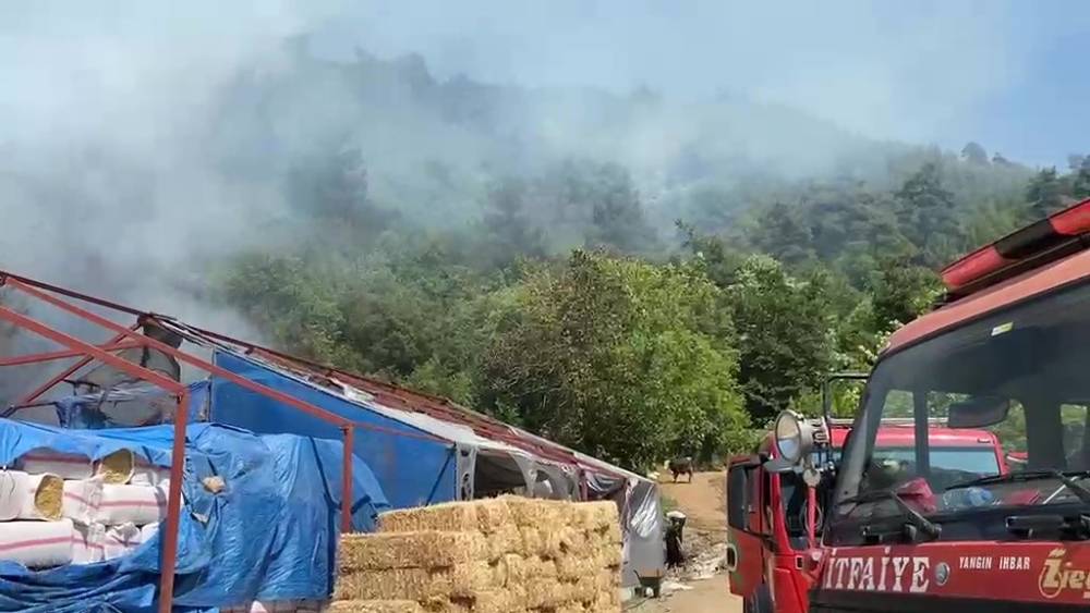 Bursa&rsquo;da ormanlık alanda yangın
