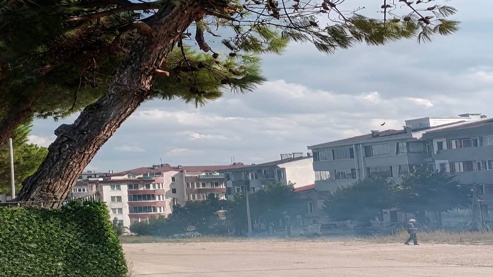 D&uuml;ğ&uuml;n konvoyundan atılan havai fişek &ccedil;am ağacını yaktı
