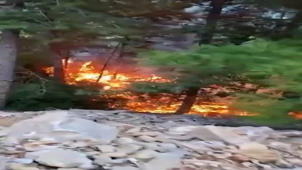 Alanya&rsquo;da yıldırımın d&uuml;şmesiyle yangın &ccedil;ıktı: 1 d&ouml;n&uuml;m alan zarar g&ouml;rd&uuml;
