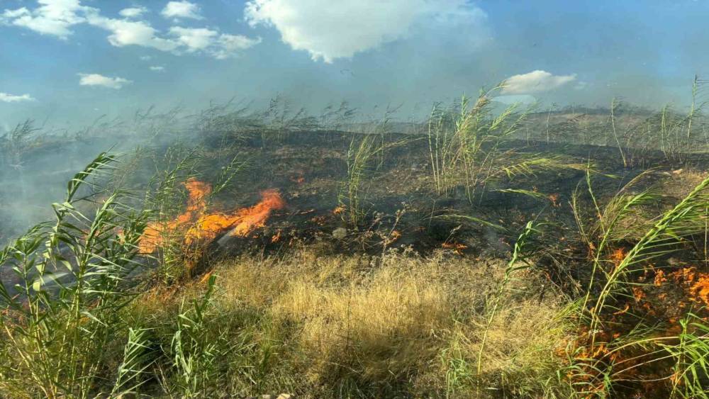 Şırnak&rsquo;taki &ouml;rt&uuml; ve orman yangını s&ouml;nd&uuml;r&uuml;ld&uuml;
