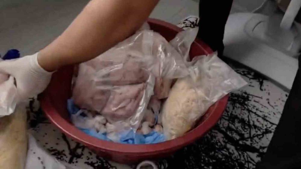 1 ton 958 kiloluk bonzai operasyonu: 2 ş&uuml;pheli tutuklandı
