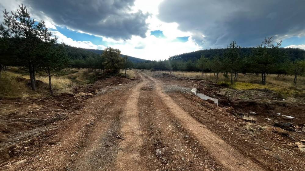 Bolu&rsquo;da orman yangınlarına m&uuml;dahaleyi kolaylaştıracak &ccedil;alışma

