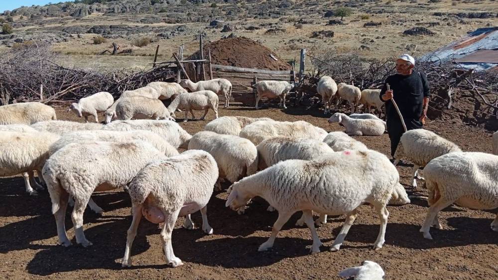Bolu&rsquo;da ORK&Ouml;Y kredileri y&uuml;zleri g&uuml;ld&uuml;rd&uuml;
