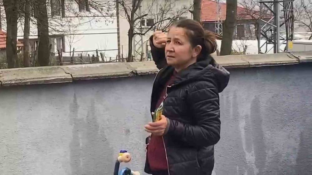 Ağa&ccedil;ta mahsur kalan kedi bir haftadır kurtarılmayı bekliyor
