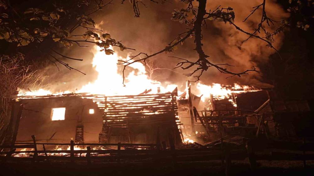 Sinop&rsquo;ta yangın: 2 katlı ev, ahır, ambar k&uuml;l oldu
