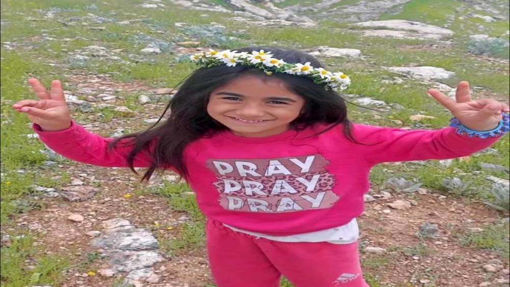 Mardin&rsquo;de otomobilin &ccedil;arptığı kız &ccedil;ocuğu hayatını kaybetti
