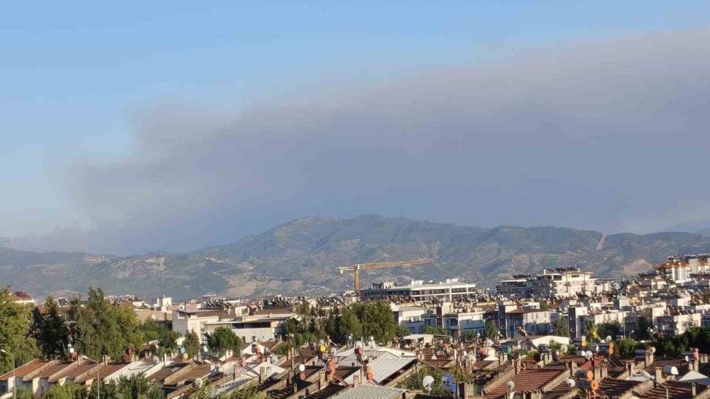 &Ccedil;ine yangının dumanları Efeler&rsquo;e ulaştı
