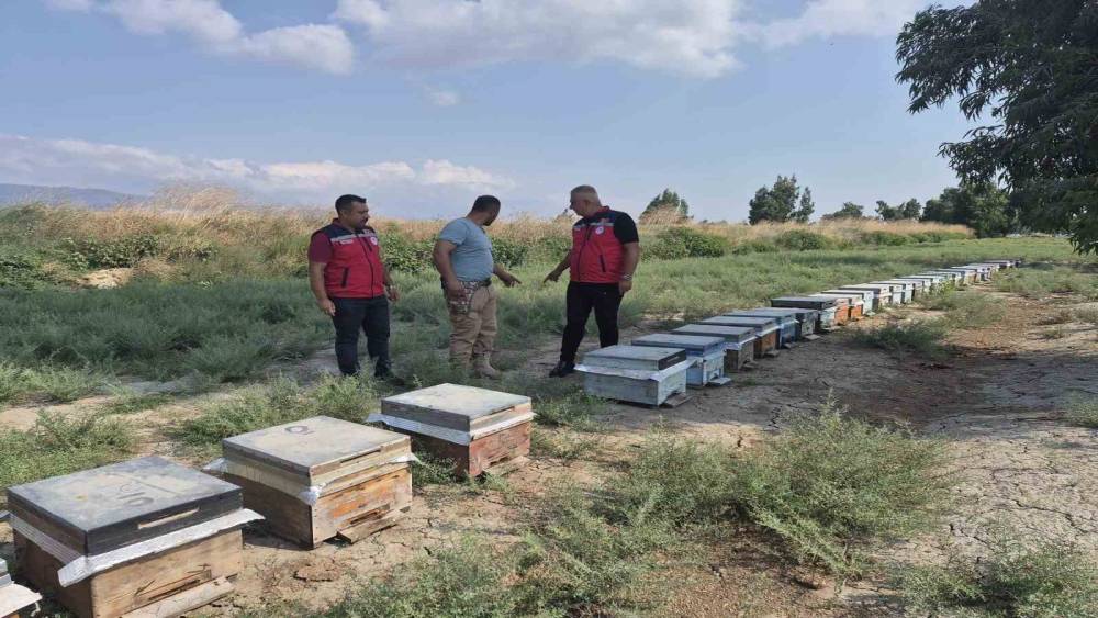 Antakya&rsquo;da arıcılar bal sağımını s&uuml;rd&uuml;r&uuml;yor
