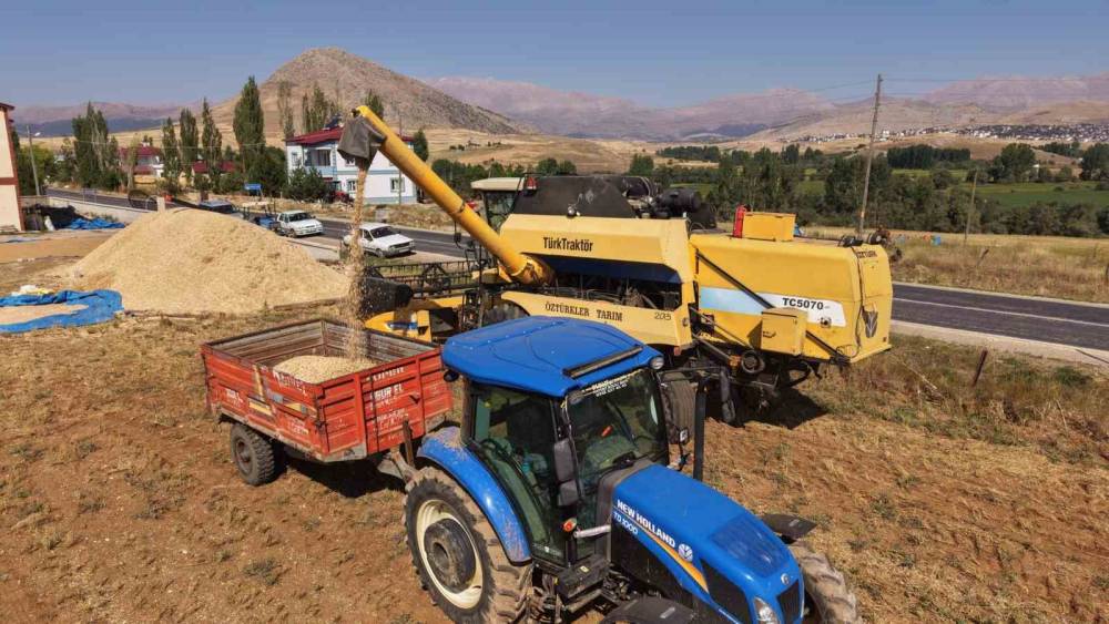 Nohut hasadı y&uuml;z g&uuml;ld&uuml;rd&uuml;
