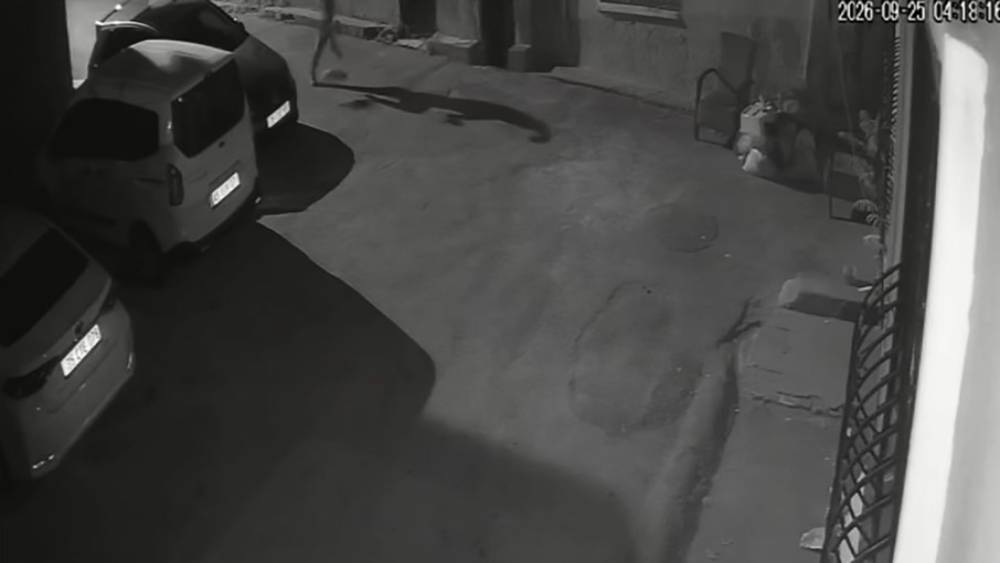 İzmir&rsquo;de k&ouml;peğini tekmeleyen şahıs g&ouml;zaltına alındı
