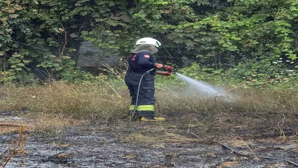 Temizlik ateşi yangına neden oldu
